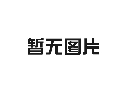 質(zhì)量信用報告2024